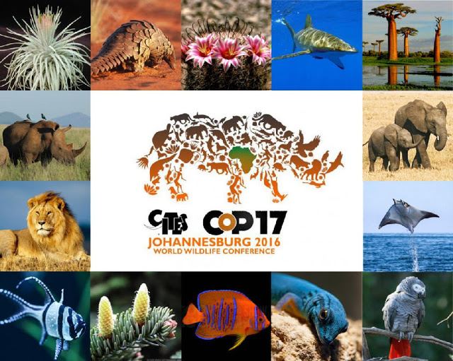CITES-Image