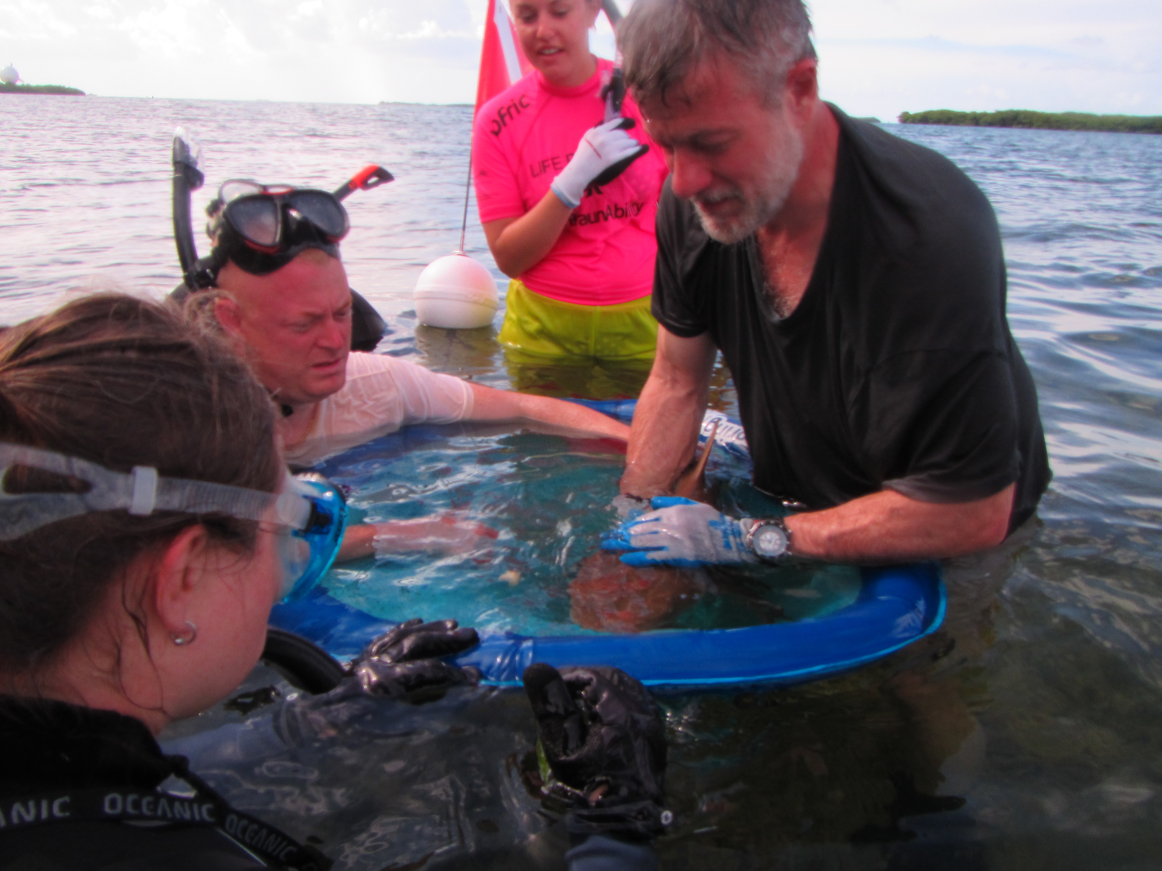 Marine Field Ecology Course – Rutgers University